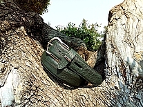 Мужской ремень Brianza (ПОД ЗАКАЗ)