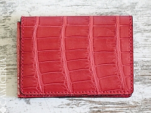 Чехол для кредитных карт-визитница Brianza \ BRIANZA